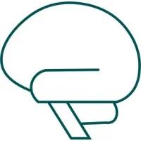 Adeptiv AI