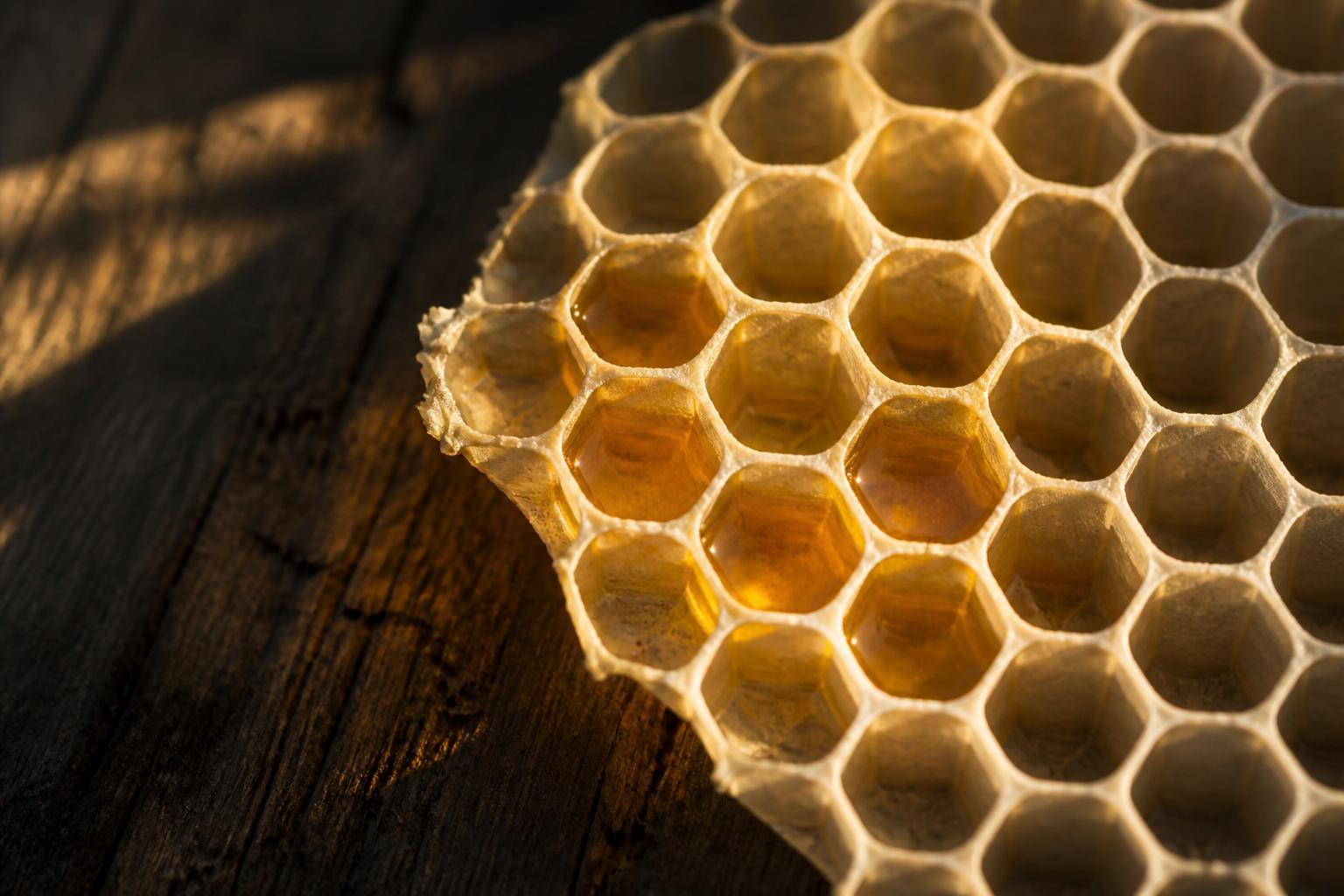 Operationalizing OWASP's LLM Top 10: A Defense Playbook